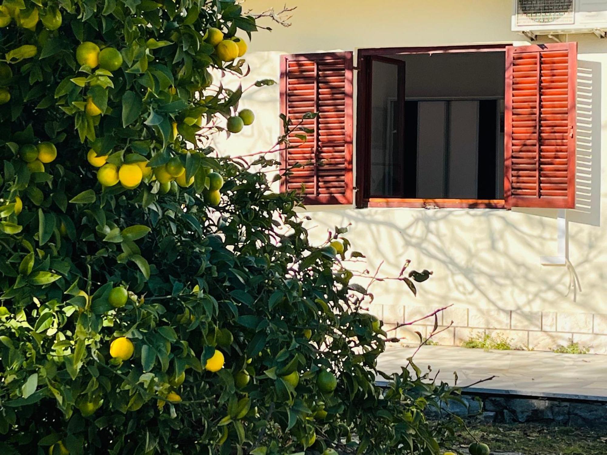 Beachfront Apartment Drazen, With Garden And Parking Split Extérieur photo